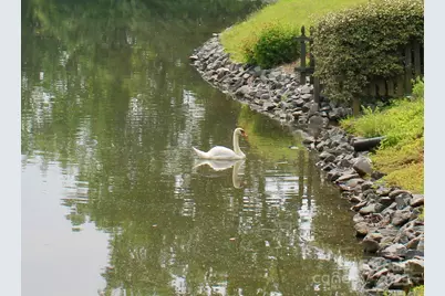 5864 Harris Grove Lane, Charlotte, NC 28212 - Photo 17