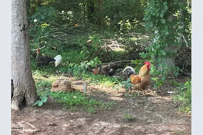 8122 Hutchison Lane, Vale, NC 28168 - Photo 43