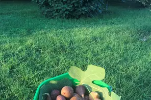 5188 Dysartsville Rd, Morganton, NC 28655 - Photo 43