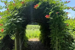 5188 Dysartsville Rd, Morganton, NC 28655 - Photo 39