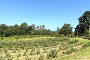 5188 Dysartsville Rd, Morganton, NC 28655 - Photo 41