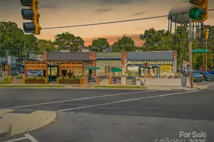 622 Mattie Rose Ln, Charlotte, NC 28204 - Photo 45