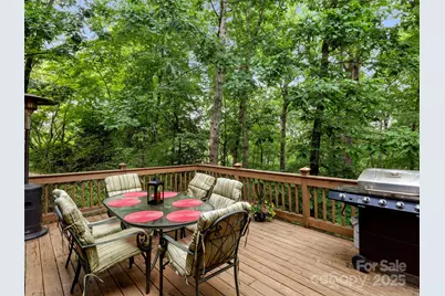 303 S Braeside Court, Asheville, NC 28803 - Photo 19