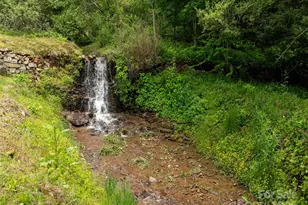 000 Puncheon Ln, Mars Hill, NC 28754 - Photo 25