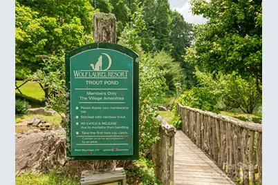 000 Puncheon Lane #174, Mars Hill, NC 28754 - Photo 23