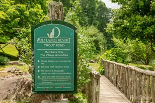 000 Puncheon Ln, Mars Hill, NC 28754 - Photo 23