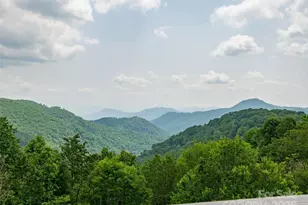 000 Puncheon Ln, Mars Hill, NC 28754 - Photo 9