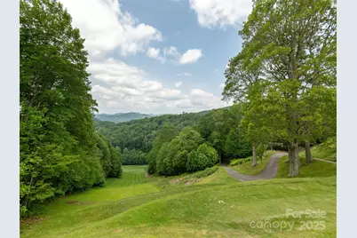 000 Puncheon Lane #174, Mars Hill, NC 28754 - Photo 13