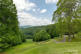 000 Puncheon Ln, Mars Hill, NC 28754 - Photo 13