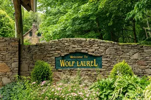 000 Puncheon Ln, Mars Hill, NC 28754 - Photo 15