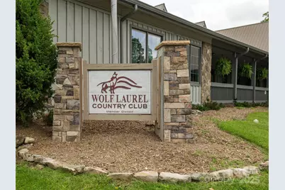 000 Puncheon Lane #174, Mars Hill, NC 28754 - Photo 5