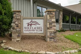 000 Puncheon Ln, Mars Hill, NC 28754 - Photo 5