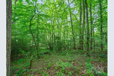 #1 Tbd Lotties Creek Road, Burnsville, NC 28714 - Photo 7