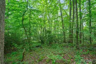 #1 Tbd Lotties Creek Rd, Burnsville, NC 28714 - Photo 7