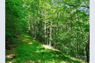 #1 Tbd Lotties Creek Road, Burnsville, NC 28714 - Photo 11