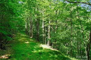 #1 Tbd Lotties Creek Rd, Burnsville, NC 28714 - Photo 11