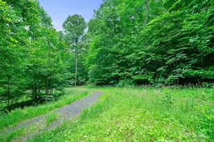 #1 Tbd Lotties Creek Rd, Burnsville, NC 28714 - Photo 5