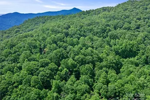 #1 Tbd Lotties Creek Rd, Burnsville, NC 28714 - Photo 13