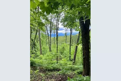 Lot 81 Ball Camp Road #81/1, Burnsville, NC 28714 - Photo 1