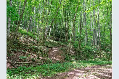 #2 Tbd Lotties Creek Road, Burnsville, NC 28714 - Photo 5