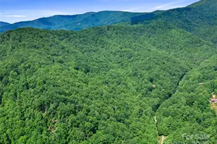 #2 Tbd Lotties Creek Rd, Burnsville, NC 28714 - Photo 13