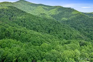 #2 Tbd Lotties Creek Rd, Burnsville, NC 28714 - Photo 19