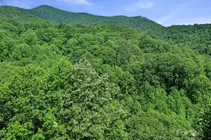 #2 Tbd Lotties Creek Rd, Burnsville, NC 28714 - Photo 11