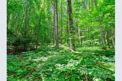 #2 Tbd Lotties Creek Road, Burnsville, NC 28714 - Photo 1