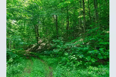 #3 Tbd Lotties Creek Road, Burnsville, NC 28714 - Photo 3