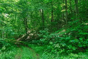 #3 Tbd Lotties Creek Rd, Burnsville, NC 28714 - Photo 3