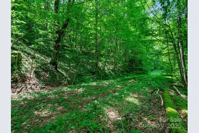 #3 Tbd Lotties Creek Road, Burnsville, NC 28714 - Photo 1
