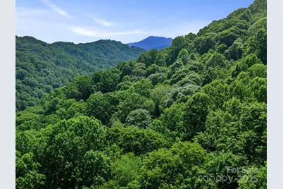 #3 Tbd Lotties Creek Road, Burnsville, NC 28714 - Photo 15
