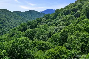 #3 Tbd Lotties Creek Rd, Burnsville, NC 28714 - Photo 15