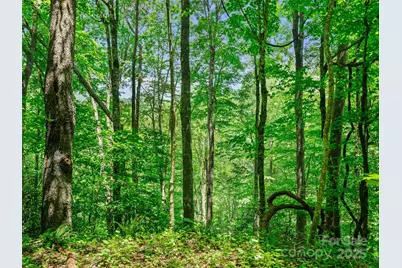 #3 Tbd Lotties Creek Road, Burnsville, NC 28714 - Photo 11