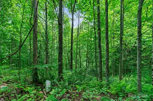 #3 Tbd Lotties Creek Rd, Burnsville, NC 28714 - Photo 13