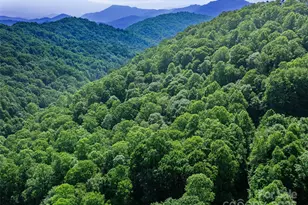 #3 Tbd Lotties Creek Rd, Burnsville, NC 28714 - Photo 7