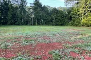 138 Zircon Dr, Statesville, NC 28625 - Photo 19