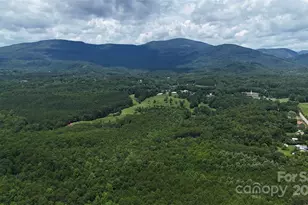 221 Flt Br Trl, Mill Spring, NC 28756 - Photo 31