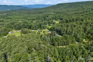 62 Kinard Ln, Penrose, NC 28766 - Photo 25