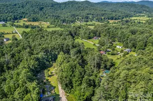 62 Kinard Ln, Penrose, NC 28766 - Photo 29