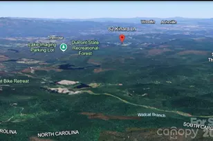 62 Kinard Ln, Penrose, NC 28766 - Photo 33