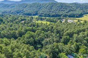 62 Kinard Ln, Penrose, NC 28766 - Photo 29