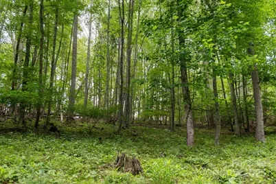 Tbd Carolina Keep Road, Burnsville, NC 28714 - Photo 5