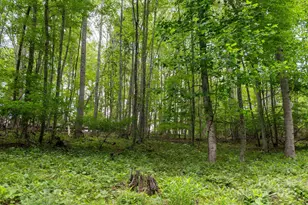 Tbd Carolina Keep Rd, Burnsville, NC 28714 - Photo 5