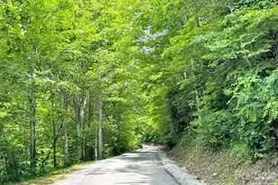 28 Mountain Breeze Dr, Maggie Valley, NC 28751 - Photo 43