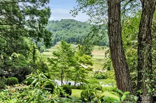 34 Brunswick Rd, Waynesville, NC 28786 - Photo 3