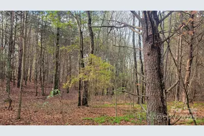 0000 Indian Creek Road, Lincolnton, NC 28092 - Photo 5
