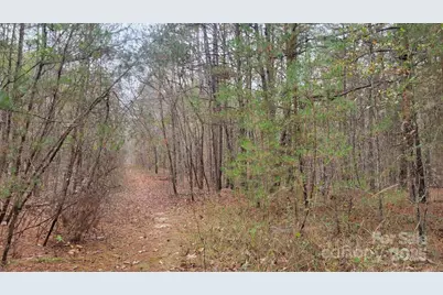 0000 Indian Creek Road, Lincolnton, NC 28092 - Photo 3