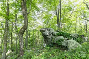 1745 Sugar Camp Rd, Marshall, NC 28753 - Photo 33