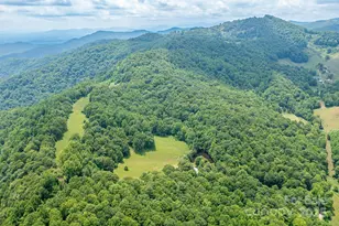 1745 Sugar Camp Rd, Marshall, NC 28753 - Photo 37